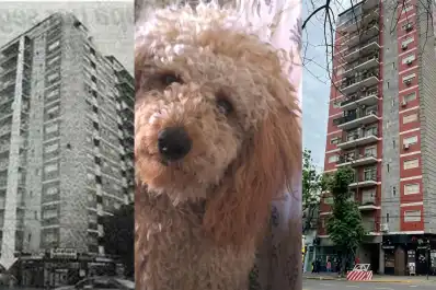 El día que un caniche cayó desde el piso 13, mató a una mujer y desencadenó una tragedia inesperada en Buenos Aires