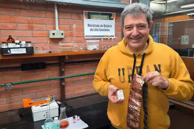 Un proyecto del Conicet busca darle una segunda vida al litio de baterías usadas