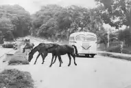 Recuerdos fotográficos: Enero de 1951. Breve reinado de los caballos en la avenida Aconquija
