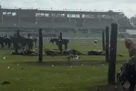 Un rayo cayó en una cancha de polo y mató a cuatro yeguas en San Isidro