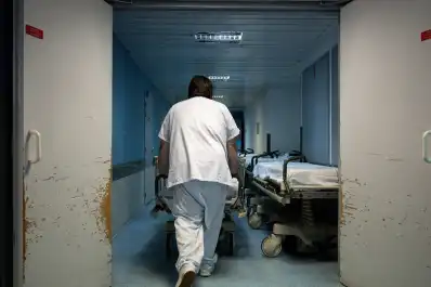 Qué es Shamonda, el virus que por primera vez contagió a un humano y que hasta ahora solo afectaba a animales