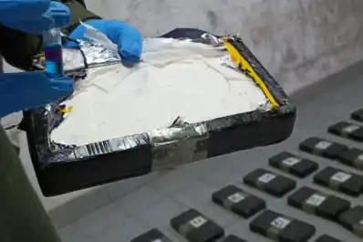 Una llamada sospechosa, dos autos y 53 kilos de cocaína: así cayó “La banda de los Peugeot”