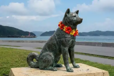 Nadaba casi tres kilómetros por amor: la historia real del perro japonés que llegó al cine y conmovió al mundo