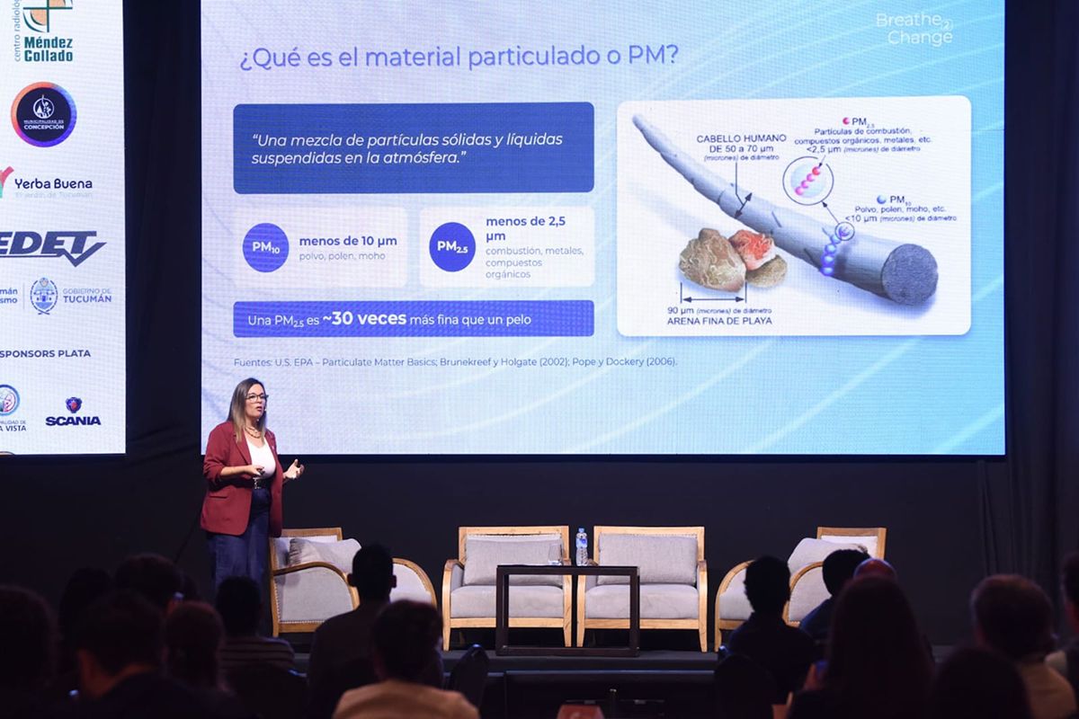 CALIDAD DEL AIRE. María Marta Sáez presentó mediciones de material particulado y explicó el trabajo de monitoreo que se realiza en Tucumán.