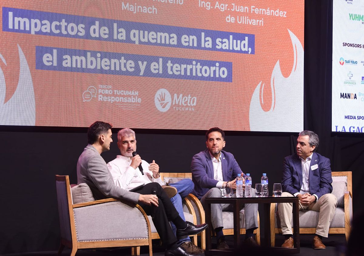 PRODUCCIÓN. El ingeniero agrónomo analizó cómo influyen el clima y las condiciones de cada zafra en la quema de caña.