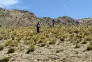 Un terreno hostil dificulta la búsqueda de Raúl Moyano
