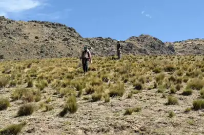 Un terreno hostil dificulta la búsqueda de Raúl Moyano