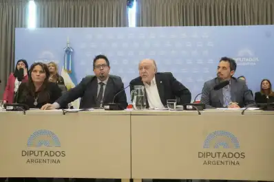 Cómo sigue en la Cámara de Diputados el proyecto para aliviar las deudas familiares
