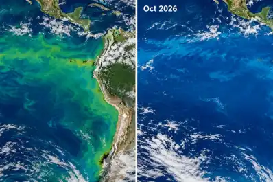 El Niño cambia el color del océano Pacífico: qué detectó la NASA y cómo podría afectar a la vida marina