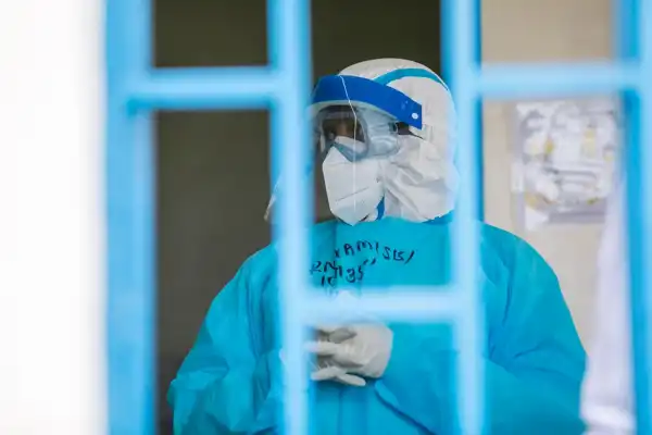 Alerta de la OMS por el primer caso de virus Shamonda en humanos: cómo se transmite y qué se sabe
