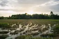 La Nación monitorea los posibles escenarios ante el fenómeno El Niño
