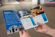 Bingos, paseos acuáticos y muestras artísticas: actividades para el fin de semana en San Miguel de Tucumán