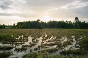 La Nación monitorea los posibles escenarios ante el fenómeno El Niño