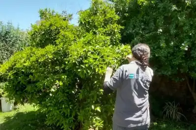 Abre la inscripción al curso de Monitoreo de Campo del Senasa