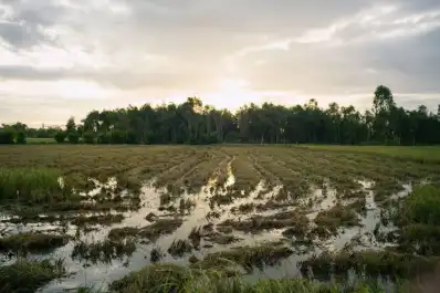 La Nación monitorea los posibles escenarios ante el fenómeno El Niño