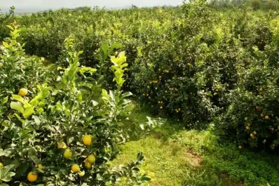 “Resulta indispensable anticiparse a las lluvias”