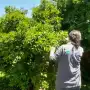 Abre la inscripción al curso de Monitoreo de Campo del Senasa