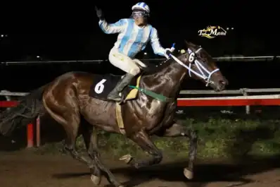 El sábado habrá una jornada turfística de alto voltaje en el hipódromo tucumano
