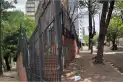 Conmoción en Quilmes: murió un bebé de 12 días tras ser golpeado por una palta que cayó de un árbol