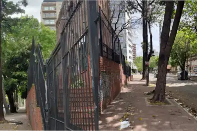 Conmoción en Quilmes: murió un bebé de 12 días tras ser golpeado por una palta que cayó de un árbol