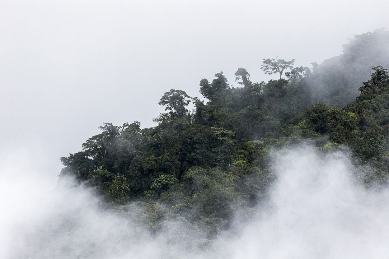 NATURALEZA. La mirada de Valeria Cannata.
