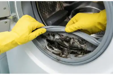 El rincón del lavarropas que casi nadie limpia y llena tu ropa de bacterias: cómo eliminarlo