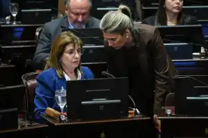 El Senado aprobó la reforma de la Ley de Salud Mental: cuáles son los cambios y qué falta para su sanción