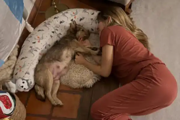 Las lágrimas de Jimena Barón durante el parto de su perra adoptada: Teníamos que atravesar esto juntas