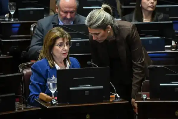 El Senado aprobó la reforma de la Ley de Salud Mental: cuáles son los cambios y qué falta para su sanción
