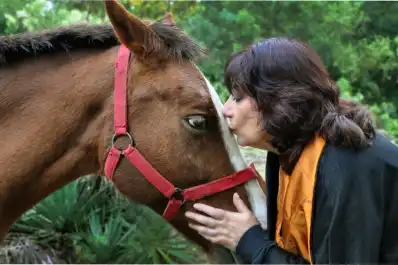 El horóscopo chino llega a un día clave: qué advierte Ludovica Squirru para cada signo