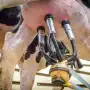 La leche argentina logra su mejor calidad en 12 años