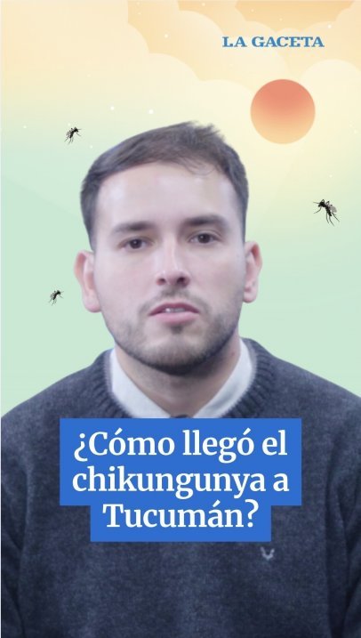 ¿CÓMO LLEGÓ EL CHIKUNGUNYA A TUCUMÁN?