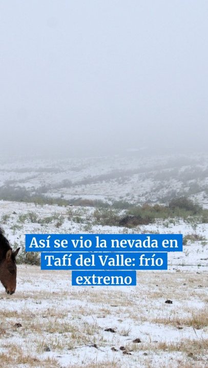 Así se vio la nevada en Tafí del Valle: frío extremo y paisajes teñidos de blanco
