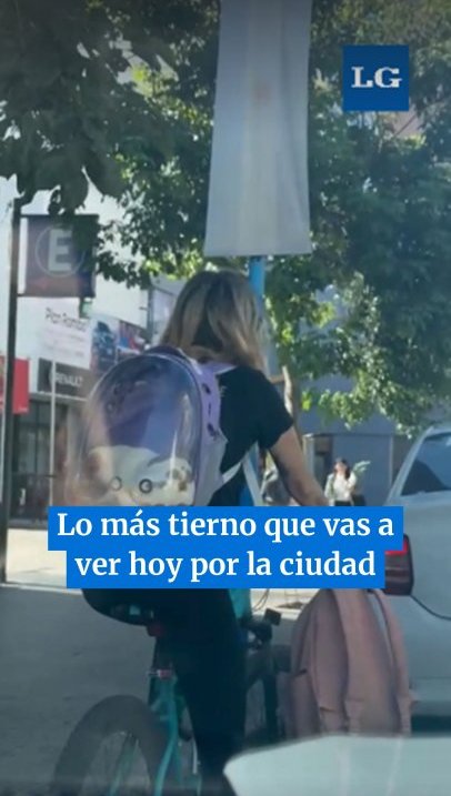 Lo más tierno que vas a ver hoy por la ciudad