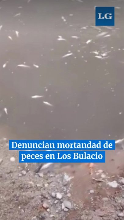 Denuncian la muerte de peces en Los Bulacio #tucumán