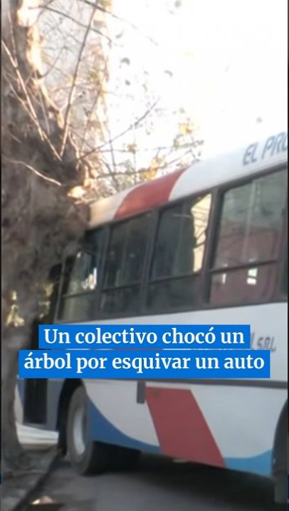 Un colectivo chocó un árbol por esquivar un auto  #tucuman