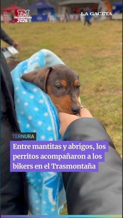 Entre mantitas y abrigos, los perritos acompañaron a los bikers en el Trasmontaña