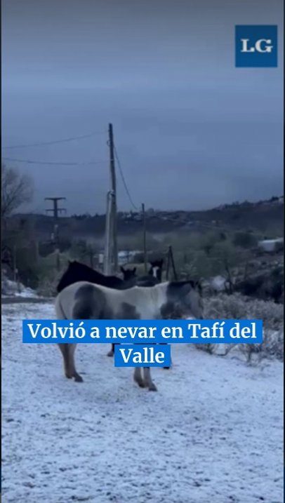 La nieve volvió a Tafí del Valle y los cerros amanecieron con un paisaje de postal  #tucuman