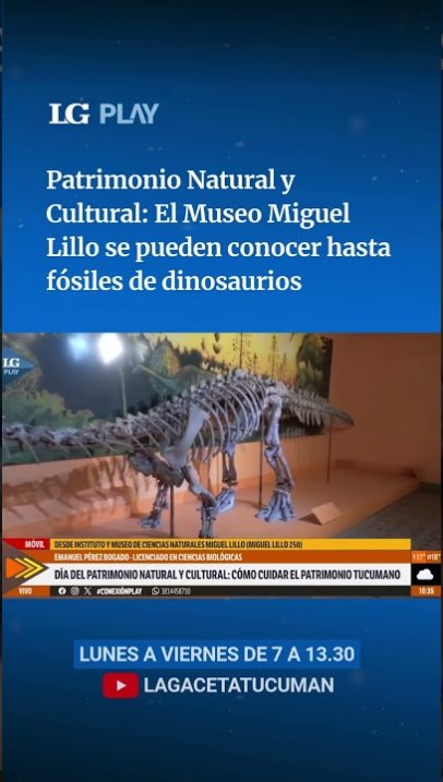 Patrimonio Natural y Cultural: el Museo Miguel Lillo